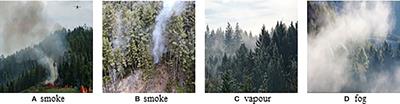 Semi-supervised wildfire smoke detection based on smoke-aware consistency